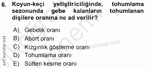 6. soru: Koyun-keçi yetiştiriciliğinde, tohumlama sezonunda gebe kalanların tohumlanan dişilere oranına ne ad verilir? A), Geb…