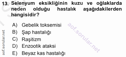 13. soru: Selenyum eksikliğinin kuzu ve oğlaklarda neden olduğu hastalık aşağıdakilerden hangisidir? A) Gebelik toksemisi B) Şa…