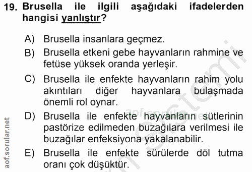 19. soru: Brusella ile ilgili aşağıdaki ifadelerden hangisi yanlıştır? A) Brusella insanlara geçmez. B) Brusella etkeni gebe ha…