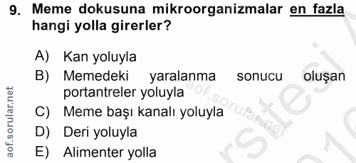 9. soru: Meme dokusuna mikroorganizmalar en fazla hangi yolla girerler? A) Kan yoluyla B) Memedeki yaralanma sonucu oluşan por…