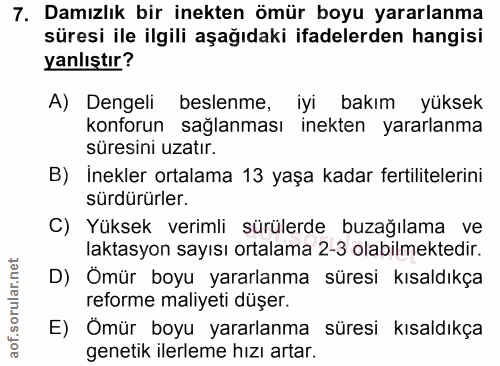 7. soru: Damızlık bir inekten ömür boyu yararlanma süresi ile ilgili aşağıdaki ifadelerden hangisi yanlıştır? A) Dengeli besle…