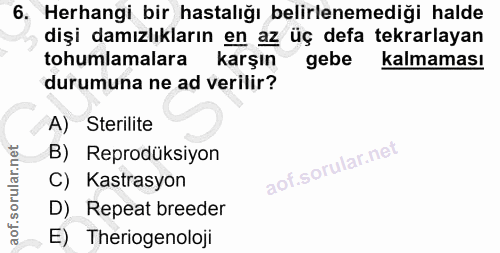 6. soru: Herhangi bir hastalığı belirlenemediği halde dişi damızlıkların en az üç defa tekrarlayan tohumlamalara karşın gebe k…
