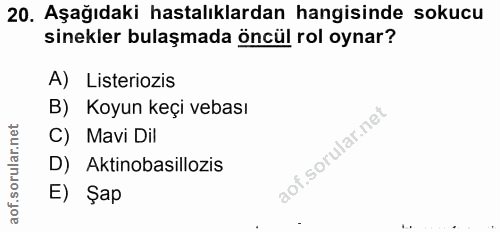 20. soru: Aşağıdaki hastalıklardan hangisinde sokucu sinekler bulaşmada öncül rol oynar? A) Listeriozis B) Koyun keçi vebası C)…