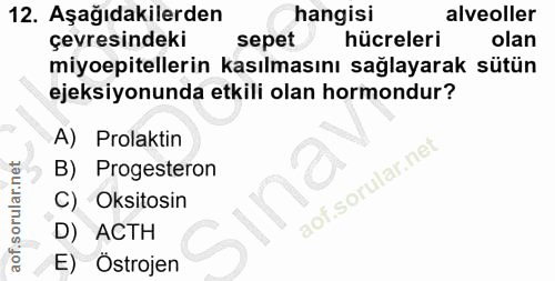 12. soru: Aşağıdakilerden hangisi alveoller çevresindeki sepet hücreleri olan miyoepitellerin kasılmasını sağlayarak sütün ejek…