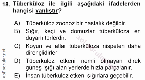 18. soru: Tüberküloz ile ilgili aşağıdaki ifadelerden hangisi yanlıştır? A) Tüberküloz zoonoz bir hastalık değildir. B) Sığır,…