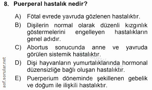 8. soru: Puerperal hastalık nedir? A) Fötal evrede yavruda gözlenen hastalıktır. B) Dişilerin normal olarak düzenli kızgınlık…
