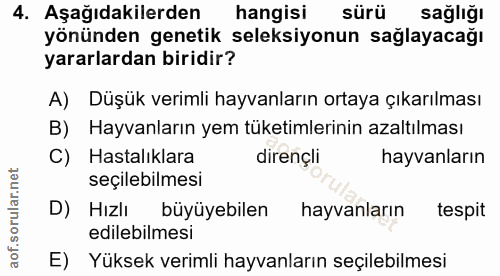 4. soru: Aşağıdakilerden hangisi sürü sağlığı yönünden genetik seleksiyonun sağlayacağı yararlardan biridir? A) Düşük verimli…