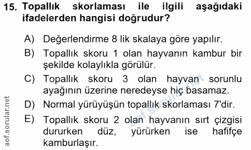 15. soru: Topallık skorlaması ile ilgili aşağıdaki ifadelerden hangisi doğrudur? A) Değerlendirme 8 lik skalaya göre yapılır. B…