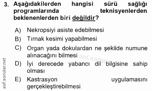 3. soru: Aşağıdakilerden hangisi sürü sağlığı programlarında teknisyenlerden beklenenlerden biri değildir? A) Nekropsiyi asist…