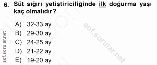 6. soru: Süt sığırı yetiştiriciliğinde ilk doğurma yaşı kaç olmalıdır? A) 32-33 ay B) 29-30 ay C) 24-25 ay D) 21-22 ay E) 19-2…