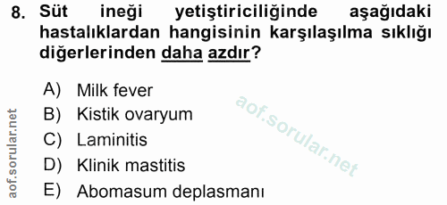 8. soru: Süt ineği yetiştiriciliğinde aşağıdaki hastalıklardan hangisinin karşılaşılma sıklığı diğerlerinden daha azdır? A) Mi…