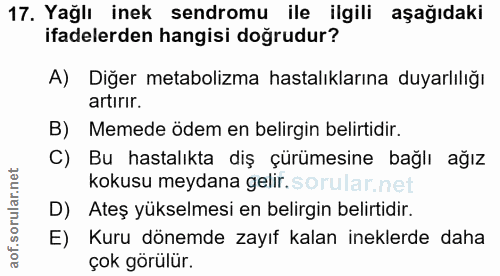 17. soru: Yağlı inek sendromu ile ilgili aşağıdaki ifadelerden hangisi doğrudur? A) Diğer metabolizma hastalıklarına duyarlılığ…