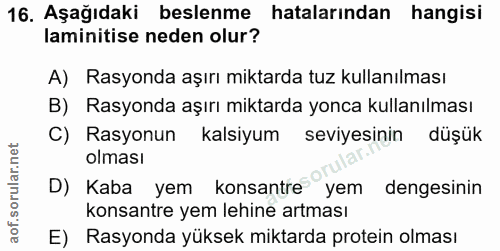 16. soru: Aşağıdaki beslenme hatalarından hangisi laminitise neden olur? A) Rasyonda aşırı miktarda tuz kullanılması B) Rasyond…