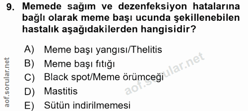 9. soru: Memede sağım ve dezenfeksiyon hatalarına bağlı olarak meme başı ucunda şekillenebilen hastalık aşağıdakilerden hangis…