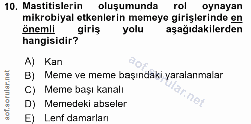 10. soru: Mastitislerin oluşumunda rol oynayan mikrobiyal etkenlerin memeye girişlerinde en hangisidir giriş önemli yolu aşağıd…