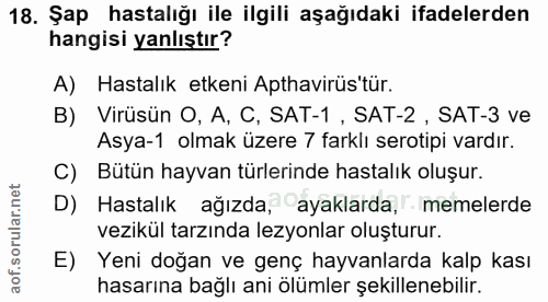 18. soru: Şap hastalığı ile ilgili aşağıdaki ifadelerden hangisi yanlıştır? A) Hastalık etkeni Apthavirüs'tür. B) Virüsün O, A,…