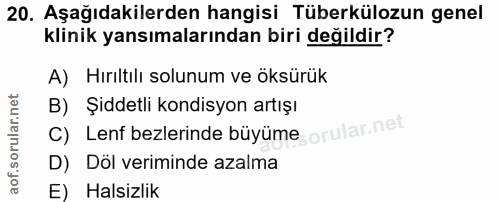 20. soru: Aşağıdakilerden hangisi Tüberkülozun genel klinik yansımalarından biri değildir? A) Hırıltılı solunum ve öksürük B) Ş…