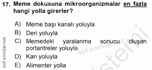 17. soru: Meme dokusuna mikroorganizmalar en fazla hangi yolla girerler? A) Meme başı kanalı yoluyla B) Deri yoluyla C) Memedek…