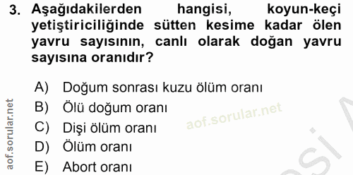 3. soru: Aşağıdakilerden hangisi, koyun-keçi yetiştiriciliğinde sütten kesime kadar ölen yavru sayısının, canlı olarak doğan y…