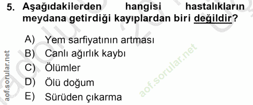 5. soru: Aşağıdakilerden hangisi hastalıkların meydana getirdiği kayıplardan biri değildir? A) Yem sarfiyatının artması B) Can…