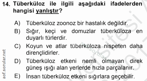 14. soru: Tüberküloz ile ilgili aşağıdaki ifadelerden hangisi yanlıştır? A) Tüberküloz zoonoz bir hastalık değildir. B) Sığır,…