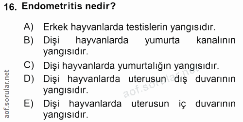 16. soru: Endometritis nedir? A) Erkek hayvanlarda testislerin yangısıdır. B) Dişi hayvanlarda yumurta kanalının yangısıdır. C)…