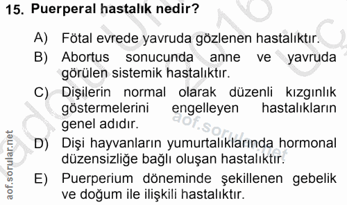 15. soru: Puerperal hastalık nedir? A) Fötal evrede yavruda gözlenen hastalıktır. B) Abortus sonucunda anne ve yavruda görülen…