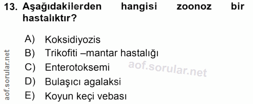 13. soru: Aşağıdakilerden hangisi zoonoz bir hastalıktır? A) Koksidiyozis B) Trikofiti -mantar hastalığı C) Enterotoksemi D) Bu…