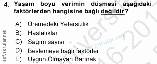 4. soru: Yaşam boyu verimin düşmesi aşağıdaki faktörlerden hangisine bağlı değildir? A) Uremedeki Yetersizlik B) Hastalıklar s…