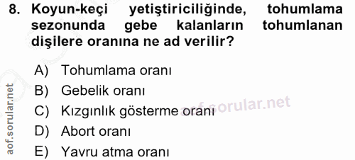 8. soru: Koyun-keçi yetiştiriciliğinde, tohumlama sezonunda gebe kalanların tohumlanan dişilere oranına ne ad verilir? A) Tohu…
