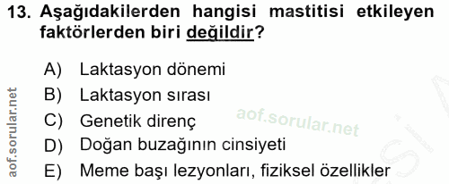 13. soru: Aşağıdakilerden hangisi mastitisi etkileyen faktörlerden biri değildir? A) Laktasyon dönemi B) Laktasyon sırası C) Ge…