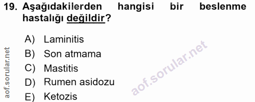 19. soru: Aşağıdakilerden hangisi bir beslenme hastalığı değildir? A) Laminitis B) Son atmama C) Mastitis D) Rumen asidozu E) K…