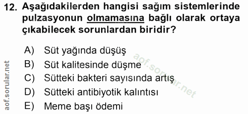 12. soru: Aşağıdakilerden hangisi sağım sistemlerinde pulzasyonun olmamasına bağlı olarak ortaya çıkabilecek sorunlardan biridi…