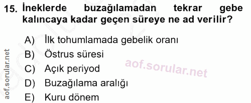 15. soru: Ineklerde buzağılamadan tekrar gebe kalıncaya kadar geçen süreye ne ad verilir? A) İlk tohumlamada gebelik oranı B) Ö…