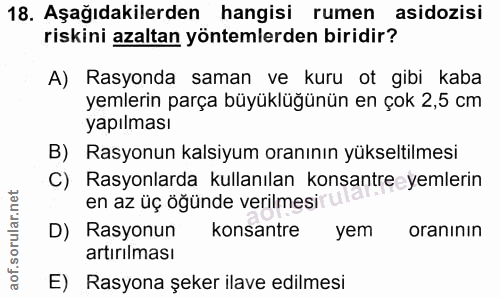 18. soru: Aşağıdakilerden hangisi rumen asidozisi riskini azaltan yöntemlerden biridir? A) Rasyonda saman ve kuru ot gibi kaba…