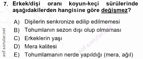 7. soru: Erkek/dişi oranı koyun-keçi sürülerinde aşağıdakilerden hangisine göre değişmez? A) Dişilerin senkronize edilip edilm…