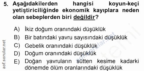 5. soru: Aşağıdakilerden hangisi koyun-keçı yetiştiriciliğinde ekonomik kayıplara neden olan sebeplerden biri değildir? A) Iki…