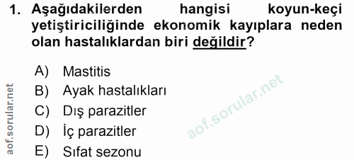 1. soru: Aşağıdakilerden hangisi koyun-keçi yetiştiriciliğinde ekonomik kayıplara neden olan hastalıklardan biri değildir? A)…