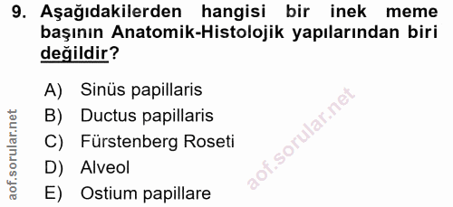 9. soru: Aşağıdakilerden hangisi bir inek meme başının Anatomik-Histolojik yapılarından biri değildir? A) Sinüs papillaris B)…
