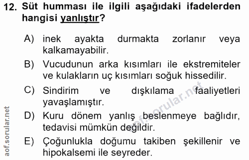 12. soru: Süt humması ile ilgili aşağıdaki ifadelerden hangisi yanlıştır? A) inek ayakta durmakta zorlanır veya kalkamayabilir.…