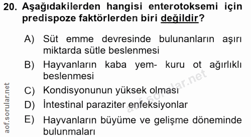 20. soru: Aşağıdakilerden hangisi enterotoksemi için predispoze faktörlerden biri değildir? A) Süt emme devresinde bulunanların…