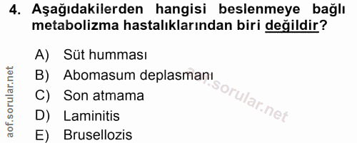 4. soru: Aşağıdakilerden hangisi beslenmeye bağlı metabolizma hastalıklarından biri değildir? A) Süt humması B) Abomasum depla…
