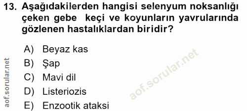 13. soru: Aşağıdakilerden hangisi selenyum noksanlığı çeken gebe keçi ve koyunların yavrularında gözlenen hastalıklardan biridi…