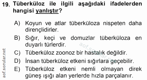 19. soru: Tüberküloz ile ilgili aşağıdaki ifadelerden hangisi yanlıştır? A) Koyun ve atlar tüberküloza nispeten daha dirençlidi…