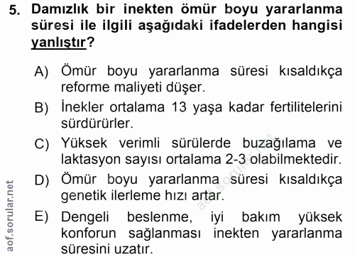 5. soru: Damızlık bir inekten ömür boyu yararlanma süresi ile ilgili aşağıdaki ifadelerden hangisi yanlıştır? A) Omür boyu yar…