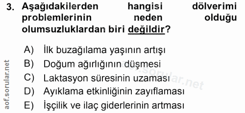 3. soru: Aşağıdakilerden hangisi dölverimi problemlerinin neden olduğu olumsuzluklardan biri değildir? A) İlk buzağılama yaşın…