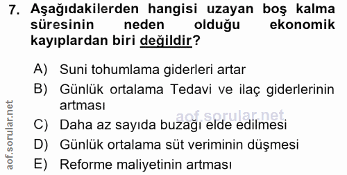 7. soru: Aşağıdakilerden hangisi uzayan boş kalma süresinin neden olduğu ekonomik kayıplardan biri değildir? A) Suni tohumlama…