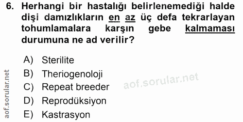 6. soru: Herhangi bir hastalığı belirlenemediği halde dişi damızlıkların en az üç defa tekrarlayan tohumlamalara karşın gebe k…