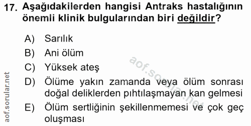 17. soru: Aşağıdakilerden hangisi Antraks hastalığının önemli klinik bulgularından biri değildir? A) Sarılık B) Ani ölüm C) Yük…