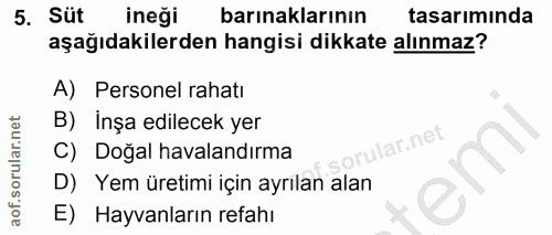 5. soru: Süt ineği barınaklarının tasarımında aşağıdakilerden hangisi dikkate alınmaz? A) Personel rahatı B) İnşa edilecek yer…